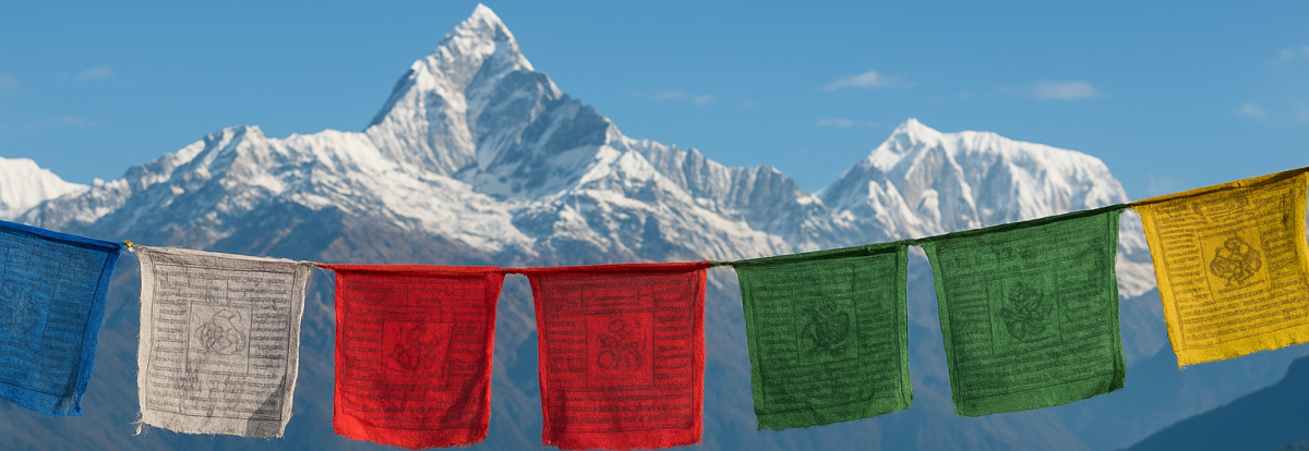 Life in Samsara